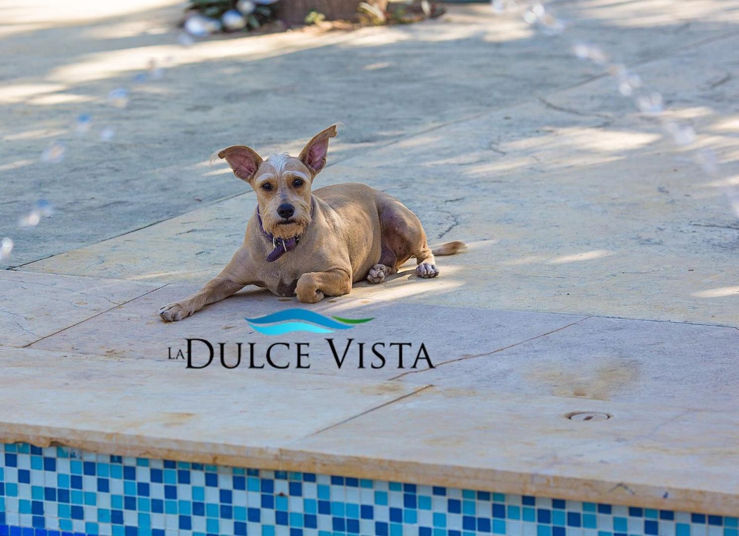 La Dulce Vista Hotel & Villas - Sierra Madre Puerto Vallarta Buitenkant foto